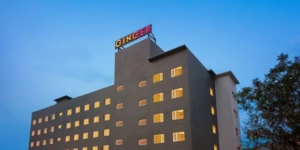 Ginger project reference