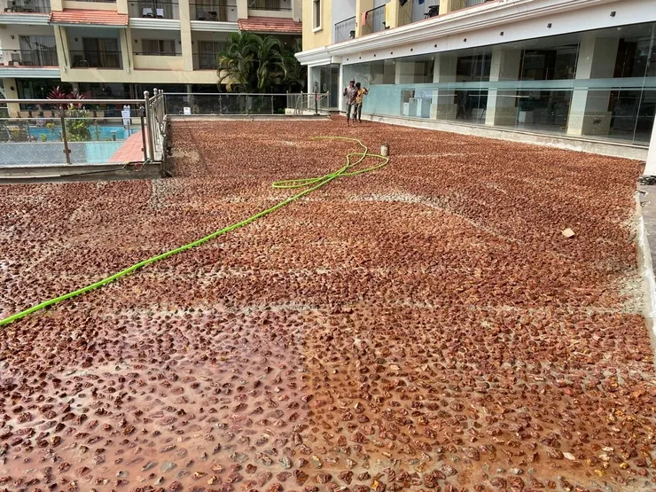 Golden Tulip project reference 2