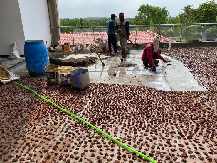 Golden Tulip project reference 3