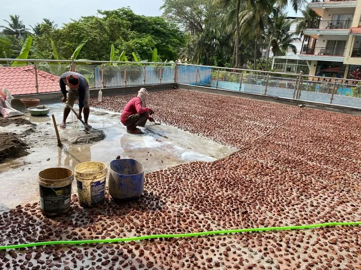 Golden Tulip project reference